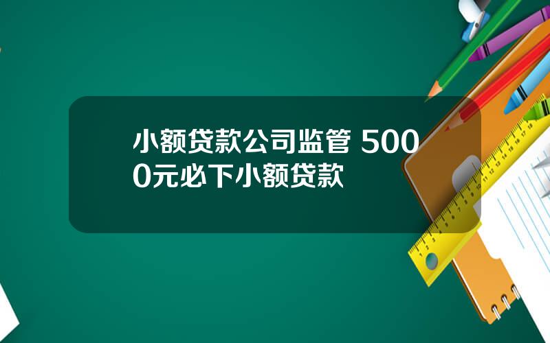 小额贷款公司监管 5000元必下小额贷款